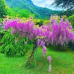 Il Piccolo Paradiso *