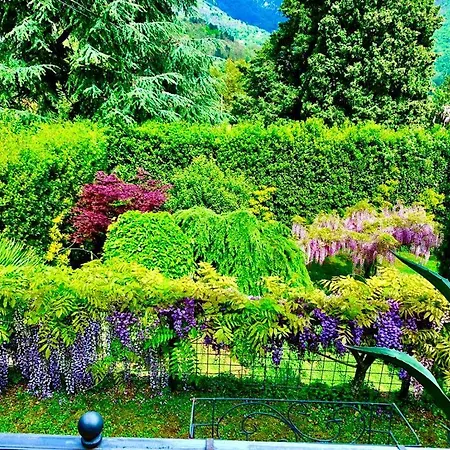 Il Piccolo Paradiso Villa Seravezza