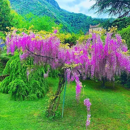 Il Piccolo Paradiso *