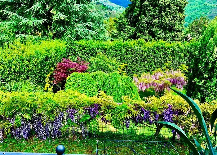 Il Piccolo Paradiso Вилла Серавецца