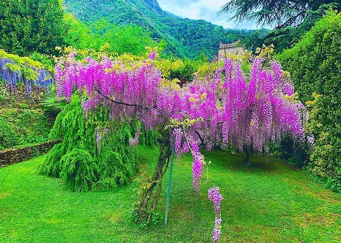 Il Piccolo Paradiso *